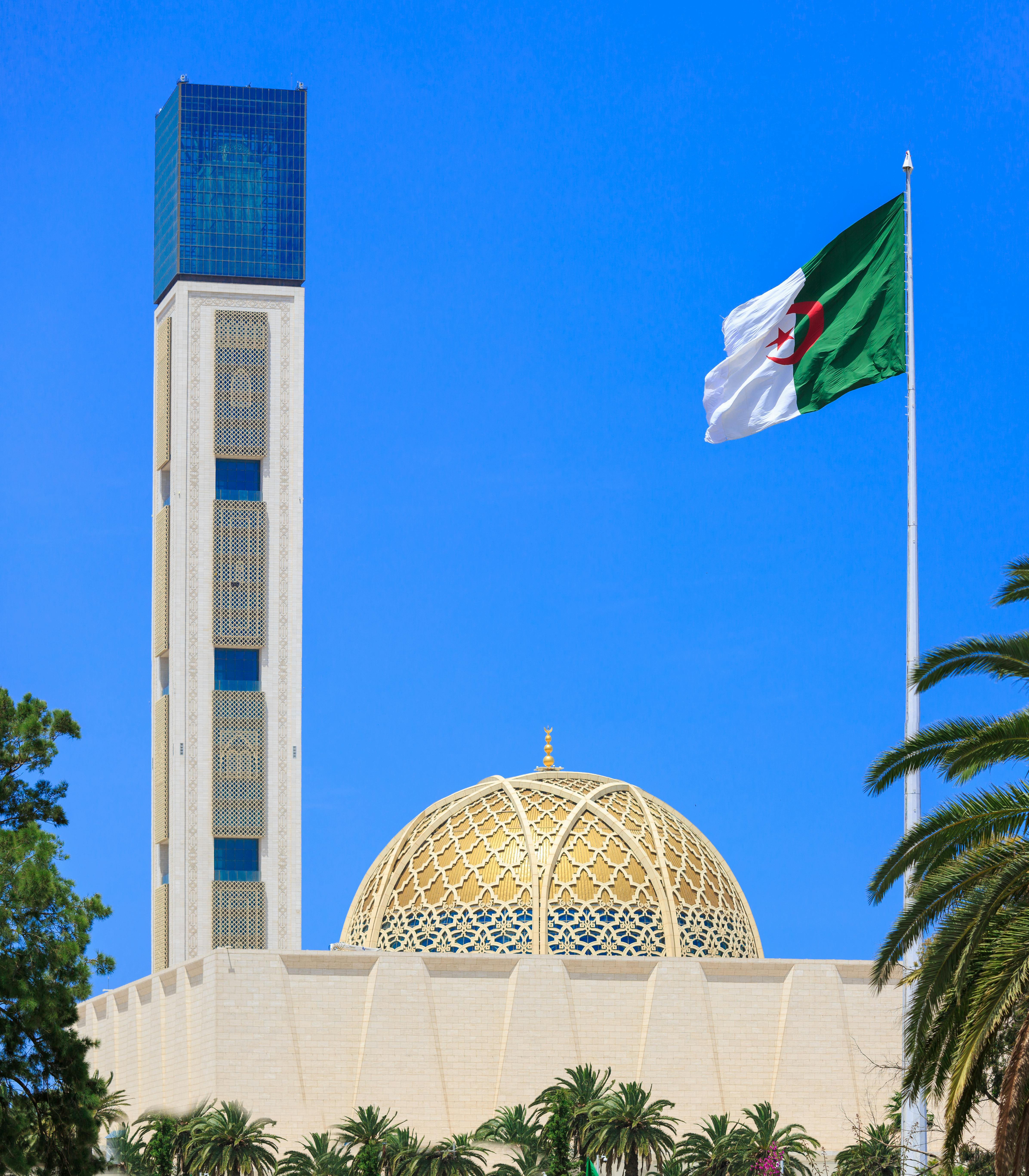 Algeria Office